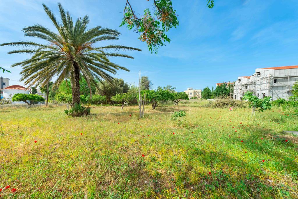 Villa Agia Paraskevi 이알리소스 외부 사진